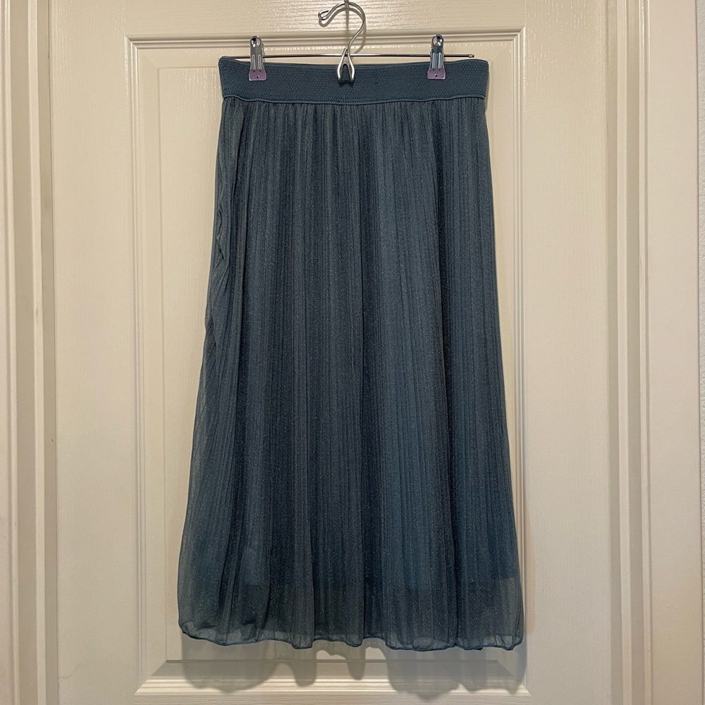 Teal skirt